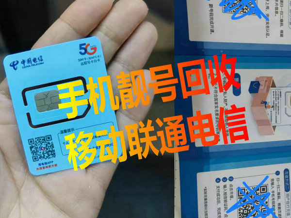 中卫吉祥号